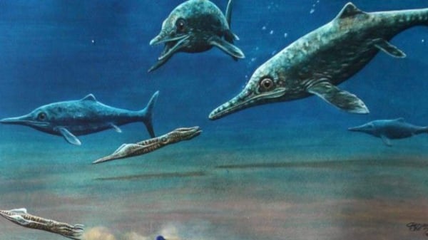 Hallan fósiles de uno de los animales más grandes del planeta