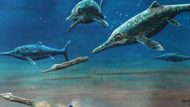 Foto: Tomada de Internet