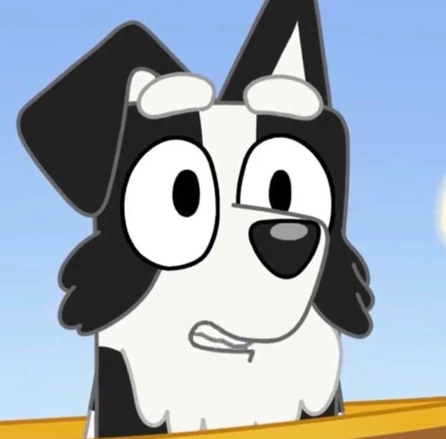 Bluey: Nombres y cómo se ve cada uno de los personajes para que los identifiques