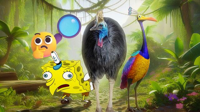 ¿Kevin de Up! es un casuario? Hoy 26 de septiembre celebramos a el ave con apariencia de dinosaurio