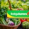 Bodega Aurrera tianguis de frutas y verduras hoy al 26 de diciembre 2024: Las mejores ofertas