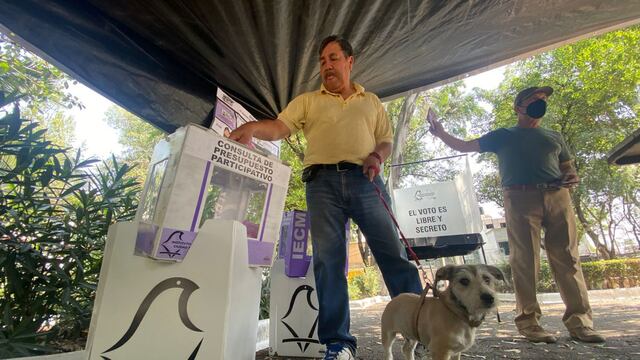 Consulta de Presupuesto Participativo