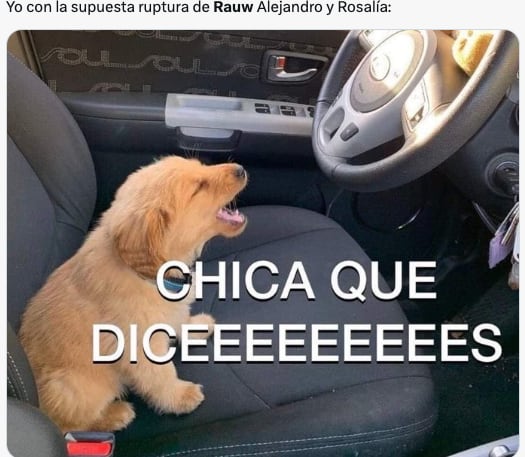 Memes lloran la ruptura de Rosalía y Rauw Alejandro