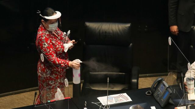 Mónica Fernández, presidenta del Senado.