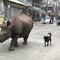 Rinoceronte pasea en calles de Nepal