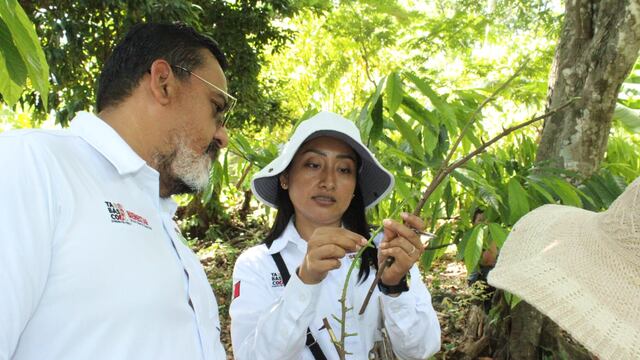 Secretaría de Bienestar capacita a productoras y productores de Sembrando Vida en Macuspana.