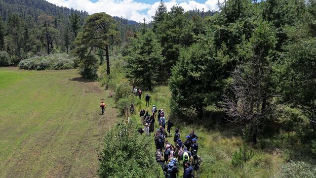 Ana Amelí Garcia Gámez no se extravió, investigan desaparición