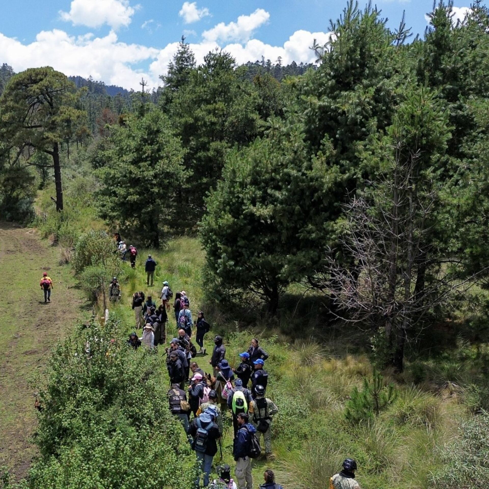 Desaparecidos en el Ajusco