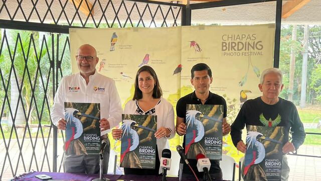 Lanzan el Chiapas Birding and Photo Festival 2024