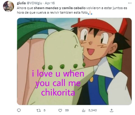 Memes porque Camila Cabello y Shawn Mendes regresaron