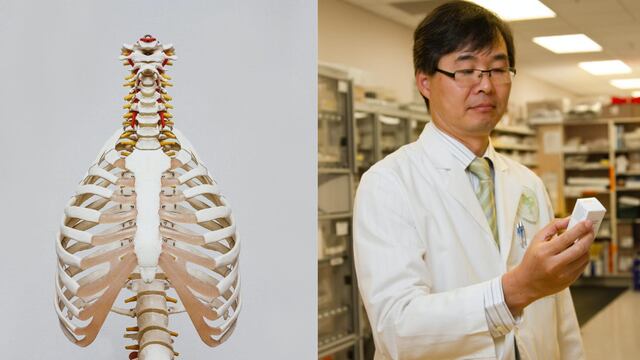 Este 25 de septiembre se celebra el Día Mundial del Pulmón y el Día Mundial de Farmacéutico