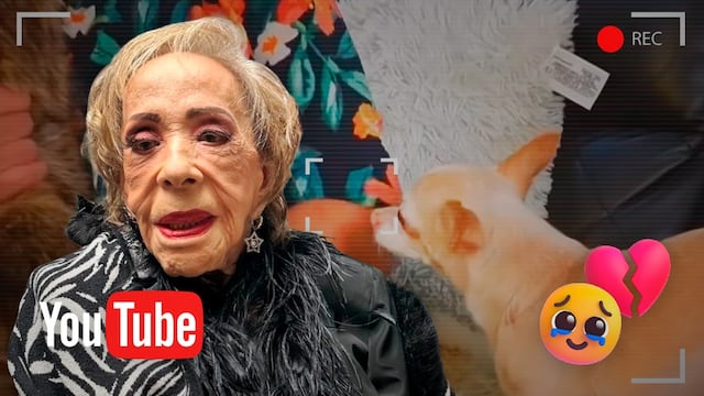 Perrita de Silvia Pinal aún llora por ella