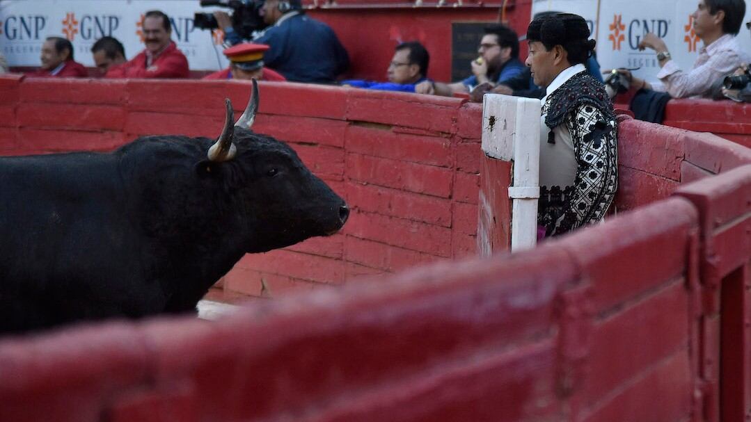 Corrida de toros