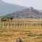 ¿Qué pasó con el Lago de Pátzcuaro? Perdió más del 40% de agua y temen que al Lago de Zirahuén le pase lo mismo