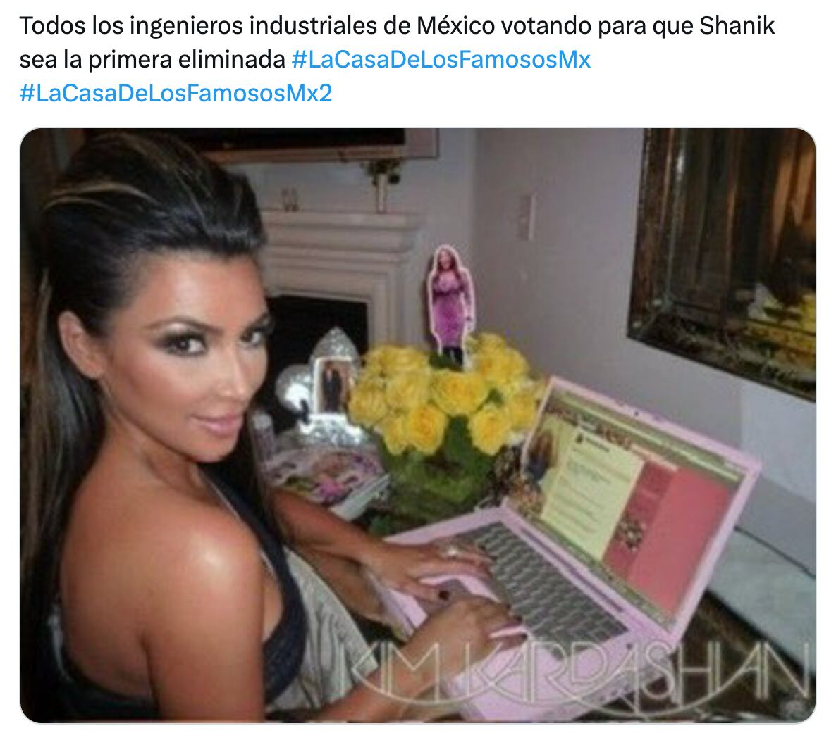 Meme de Shanik Berman en La Casa de los Famosos México 2024