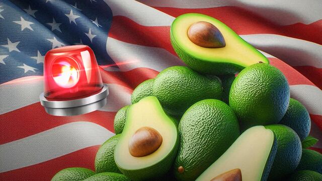 Supervisores de aguacate de Estados Unidos fueron agredidos en Michoacán