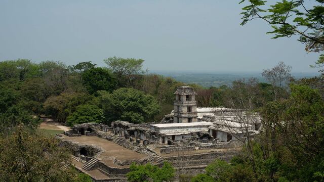 Dentro de la selva tropical se encuentra la Zona Arqueológica de Palenque, uno de los sitios más importantes para la cultura maya del sureste mexicano
