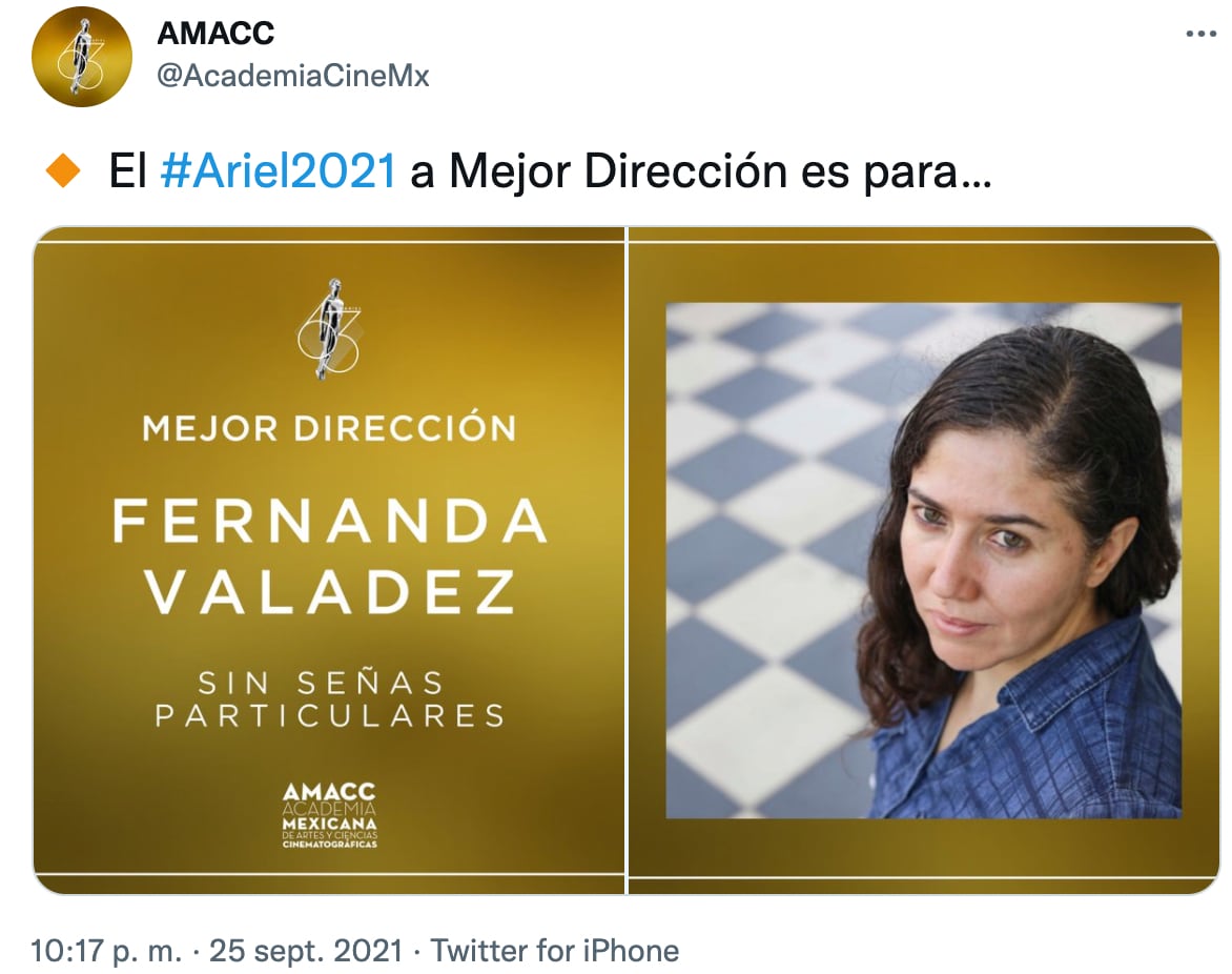Sin señas particulares, Premios Ariel 2021