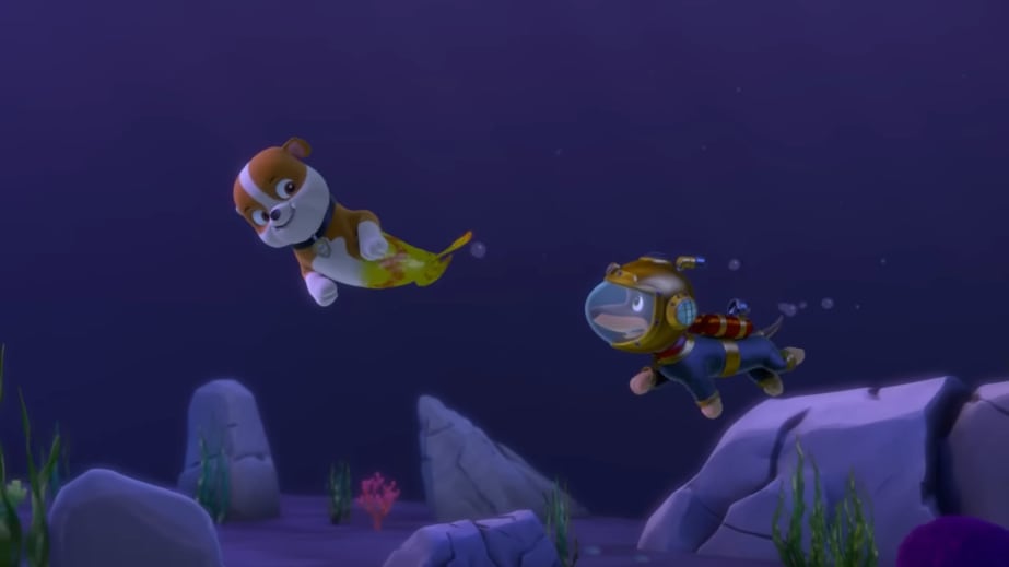 Paw Patrol por el Día Internacional de la Vaquita Marina