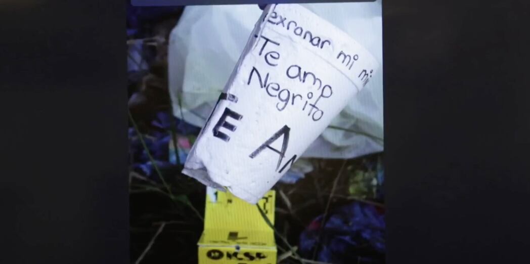 Caso Yolanda Martínez