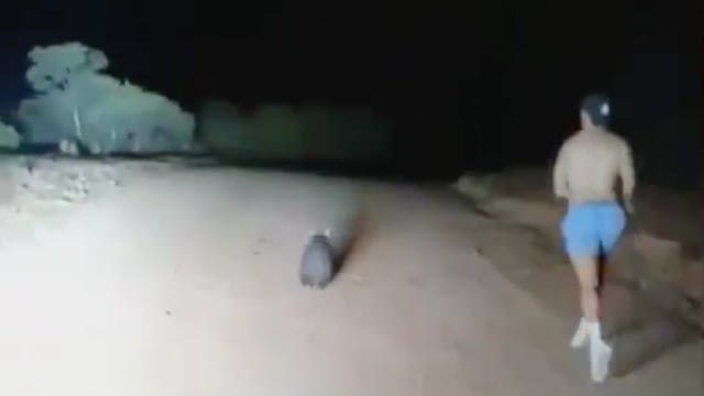 Policía asesinando a wombat