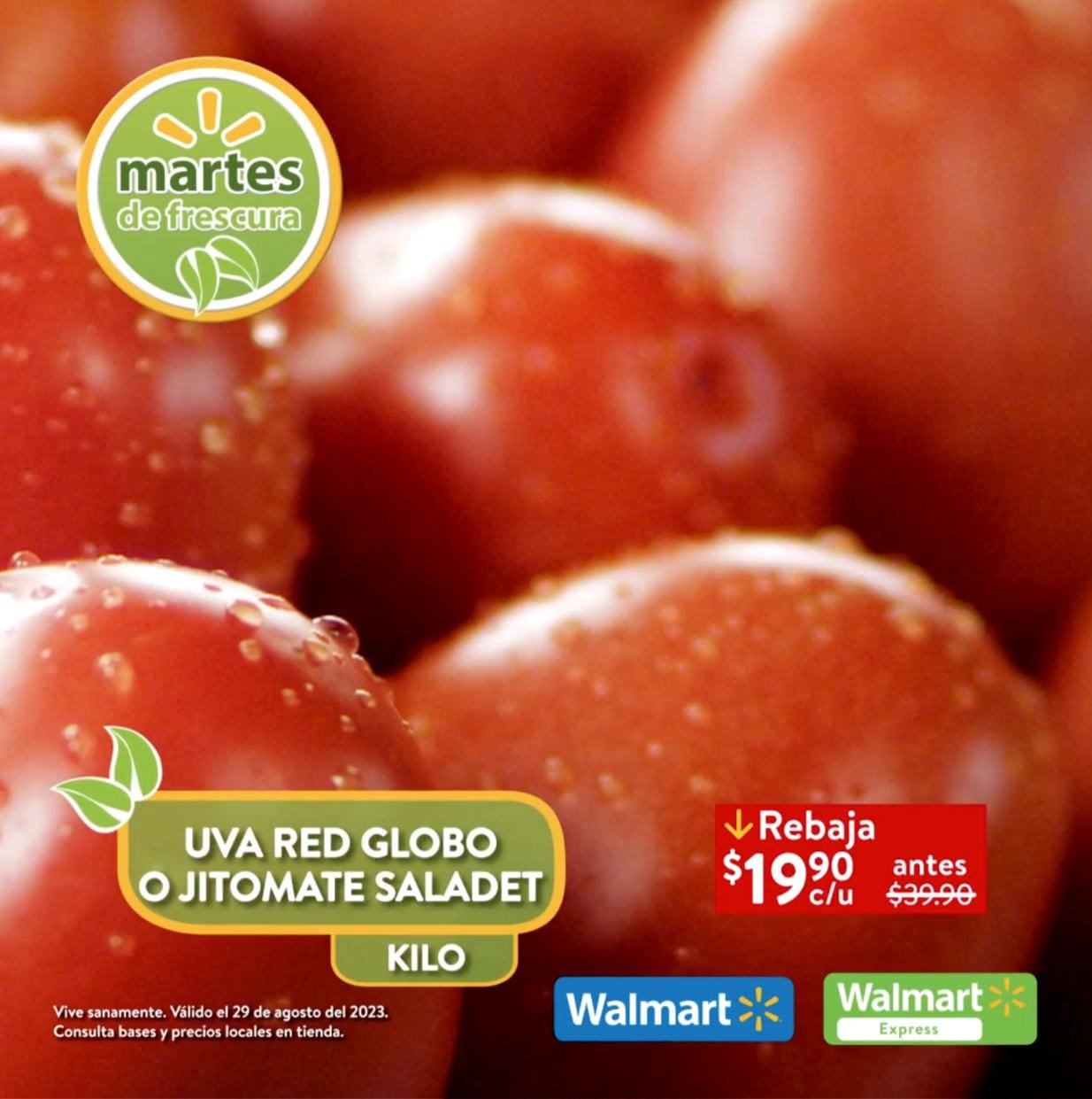 Folleto 29 de agosto