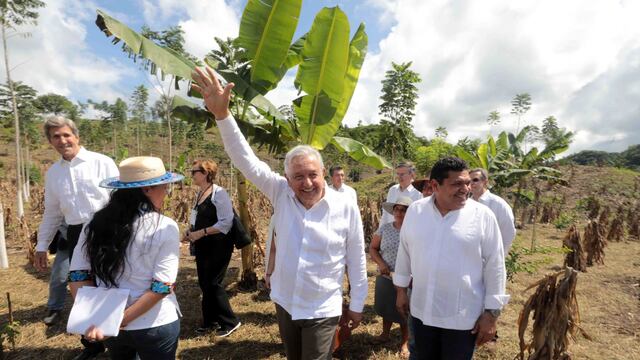 AMLO con el programa Sembrando Vida