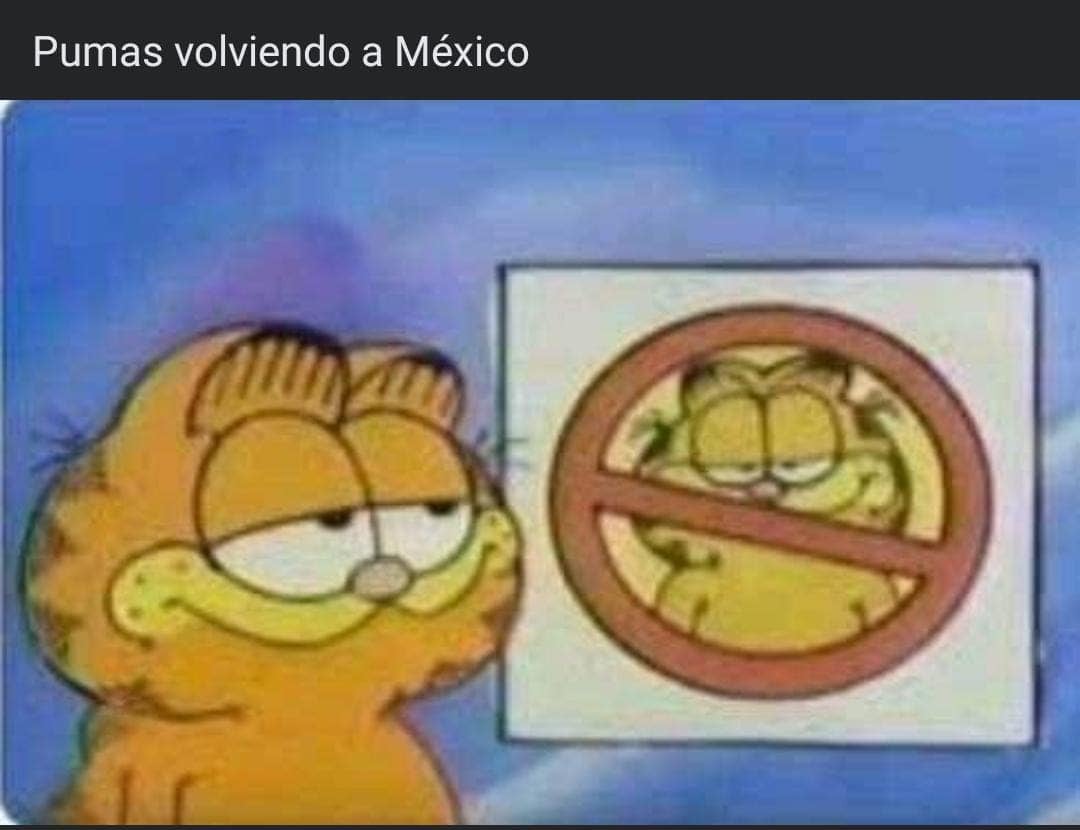 Pumas, víctima de los memes