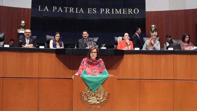 Martha Lucía Mícher, senadora de Morena