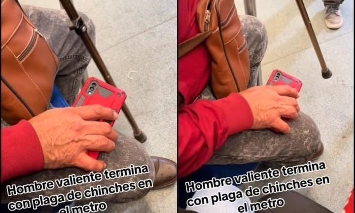 Nace héroe mata chinches