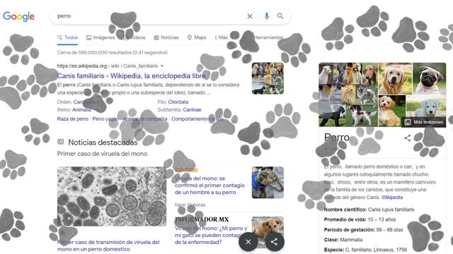 Google y la función al buscar "perro"