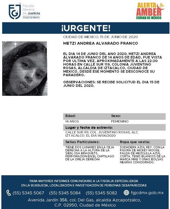 Ficha de búsqueda de Metzi.