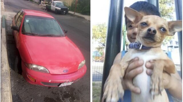 Ofrece su carro a cambio de recuperar a su perrita