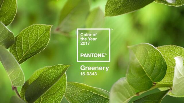 Verdo Color 'Verdor', el color que iluminará al 2017