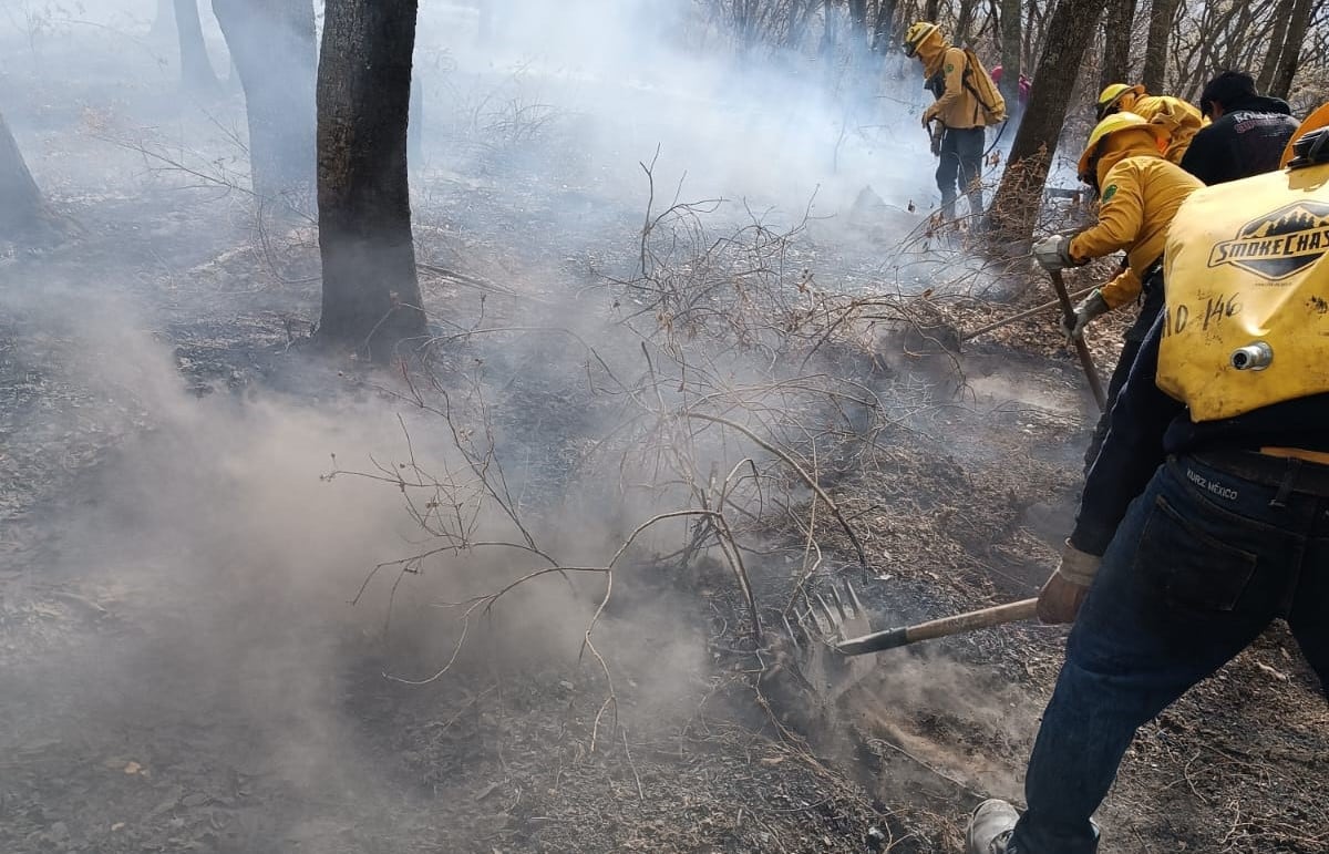 Buscan endurecer sanciones contra quienes inicien incendios forestales