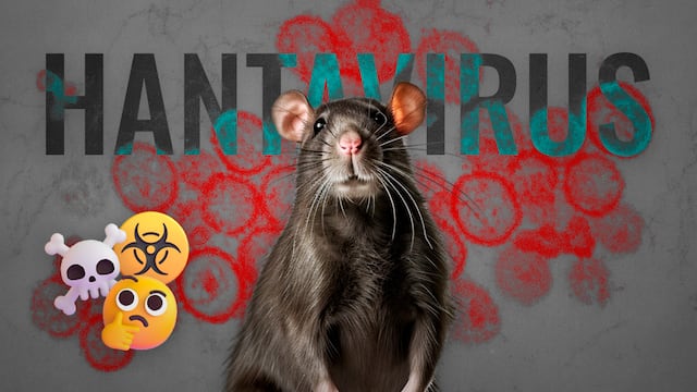 Hantavirus