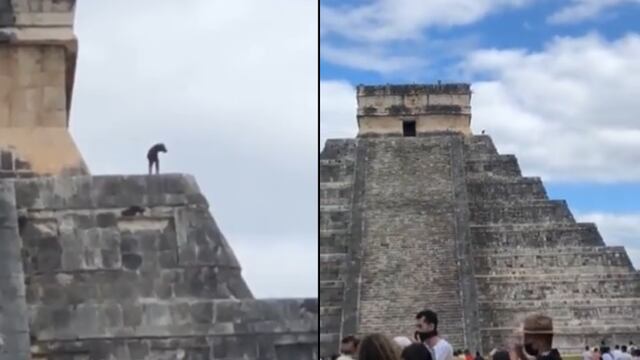 Perrito en Chichen Itza