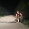 Serpiente pitón de más de 6 metros de largo es capturada en Miami