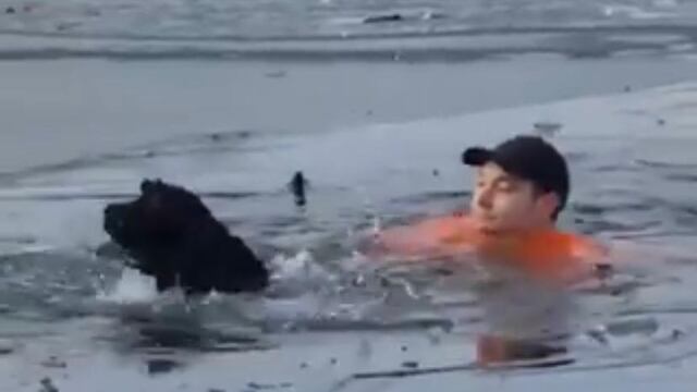 Rescate del perro de un lago congelado