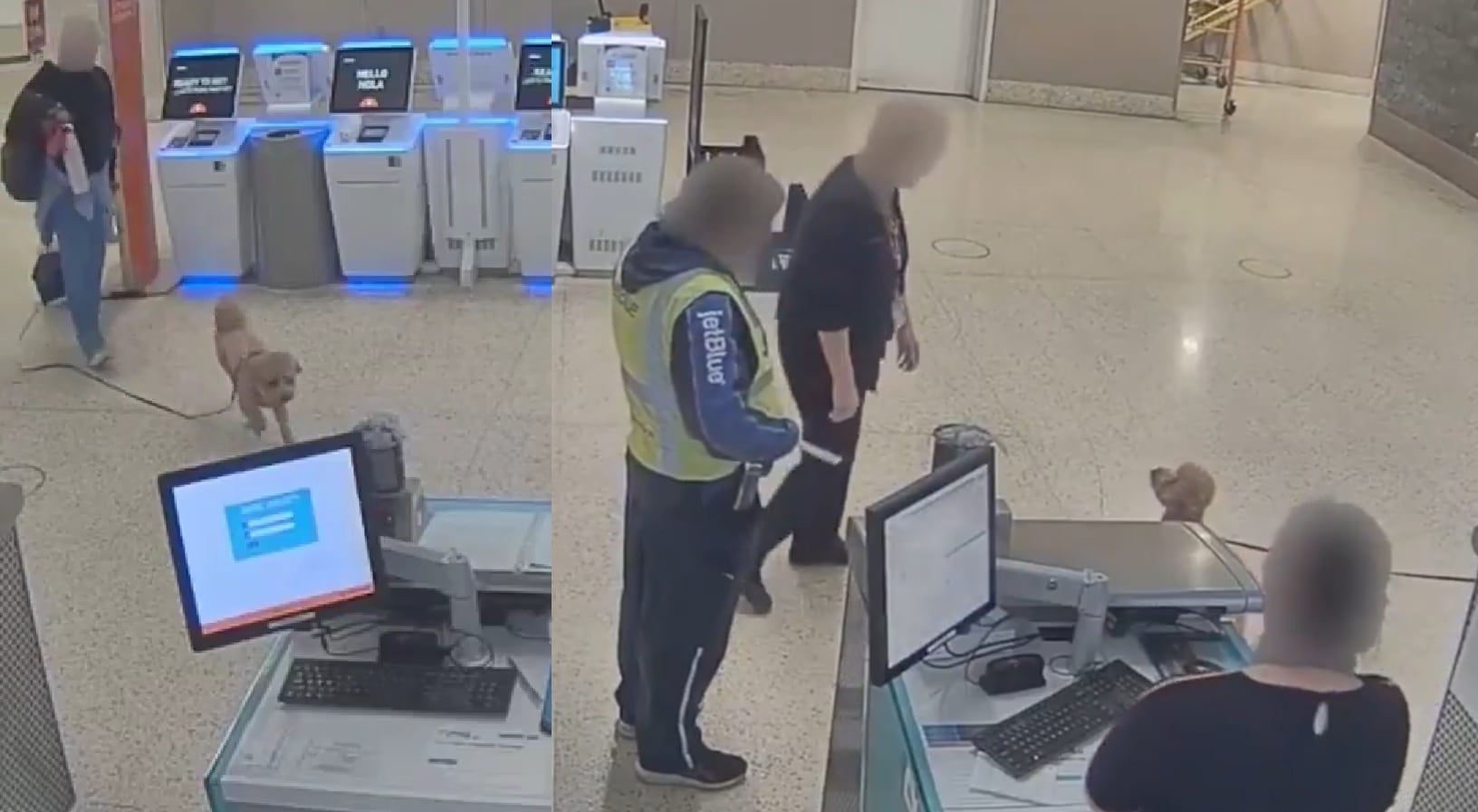 Mujer arrestada en Las Vegas por abandonar a su perro en el aeropuerto