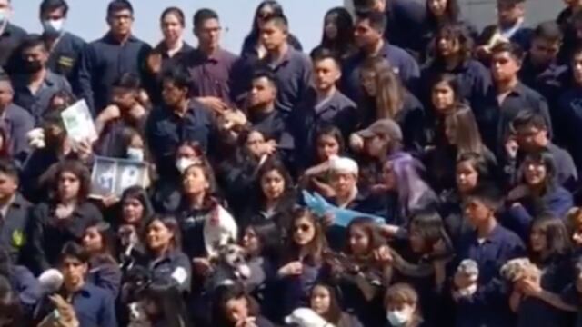 Animales de compañía posan con sus médicos veterinarios