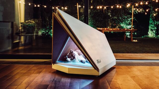 La casa para perros de Ford.