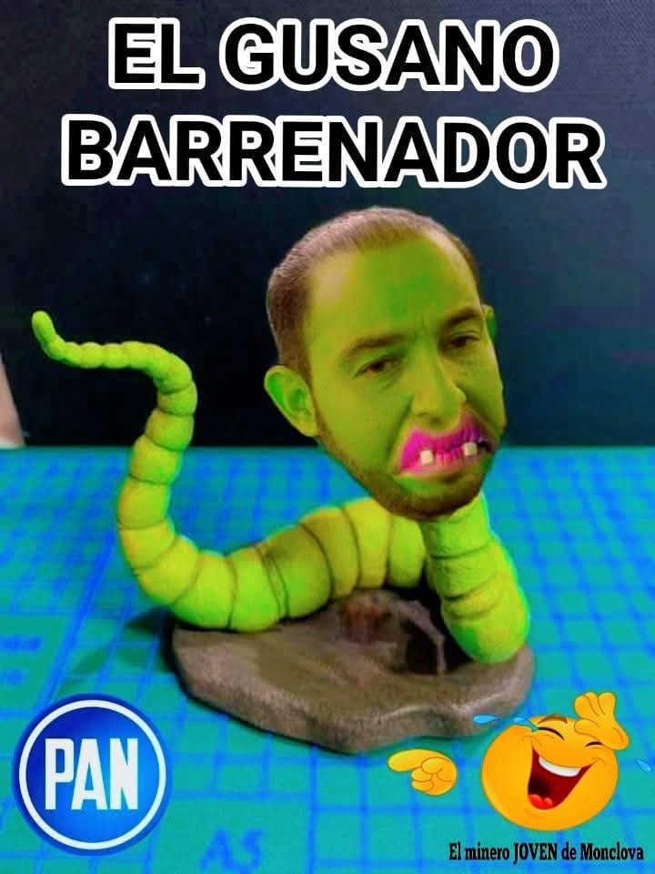 Gusano Barrenador