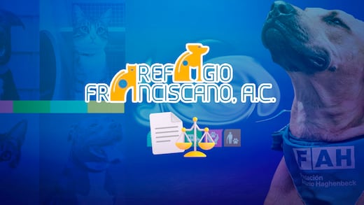 Caso Refugio Franciscano: Fundación Haghenbeck responde a resolución judicial