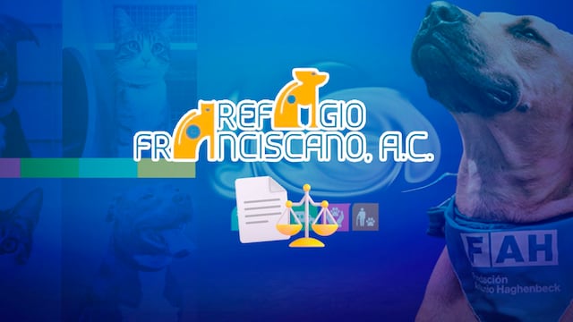 Caso Refugio Franciscano: Fundación Haghenbeck responde a resolución judicial