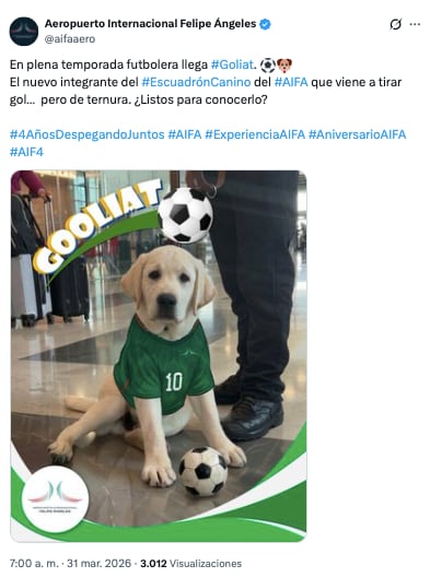 Goliat, nuevo integrante de Escuadrón Canino, del AIFA