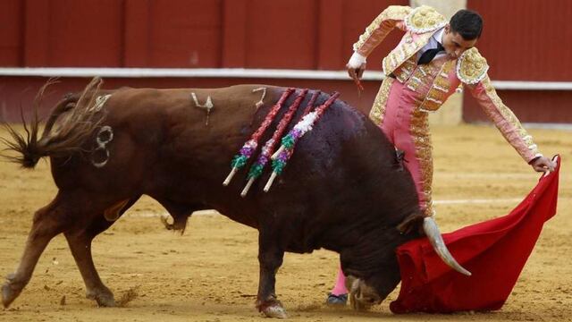 Imagen representativa