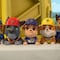 Rubble y Chase salvan al Sr. McTortuga con Paw Patrol: 30 minutos de capítulos en YouTube y español por el Día Mundial de las Tortugas Marinas
