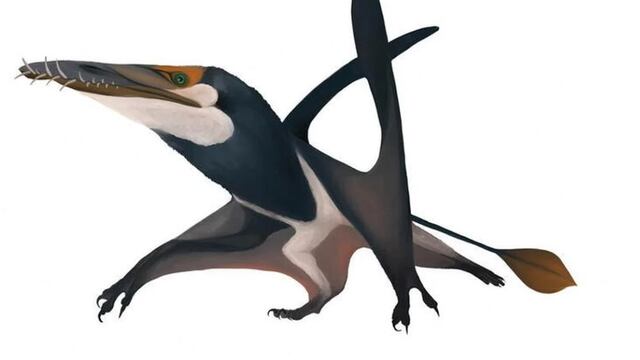 Pterosaurio