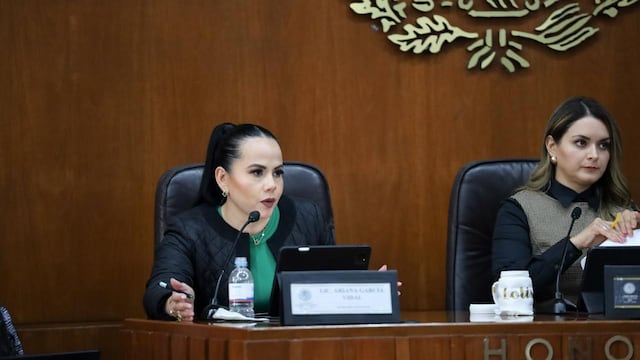 Ariana García reporta mayores ingresos en San Luis Potosí